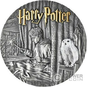 n[E|b^[ƃAYJo̎l  15h jEG 2025Nȍ~