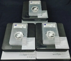 2014NP $8 I[XgA 5IX EFbWe[C[O H.R. PR70 DCAM PCGS Mercanti 29511 3