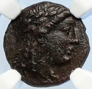 AJCIXt҃ZELhIO220N 󏭌ÑMVRC A| NGC i106041