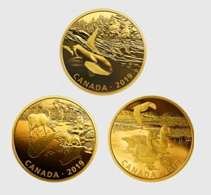 2019NJi_h 30h S[fEtNVYFvf^[ƃvC 3Zbg .9999 