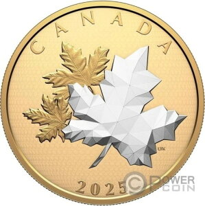 [v[tECE[V 5IX  50h Ji_ 2025N