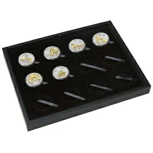 2020-2031NI[XgAEi12݃RNVP[X{sς1IX1h6