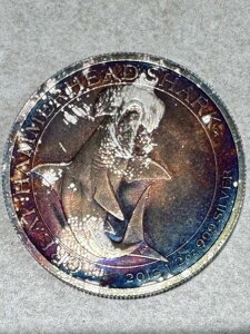 2015N 1/2IX p[X~g Vo[ n}[wbh V[Ng[