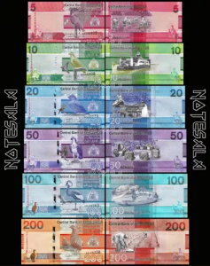 �K���r�A�Z�b�g 6�� 5�A10�A20�A50�A100�A200 DALASIS 2020/2023 PICK-37�`P-42 UNC