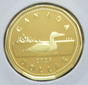 2024�N�J�i�_ �v���[�t ���[�j�[ 1�h���d�݁BMINT UNC�BRJ