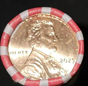 5�p�b�N 2025 P �����J�[�� �y�j�[���[�� (���v250�y�j�[) �V�i OBW ������