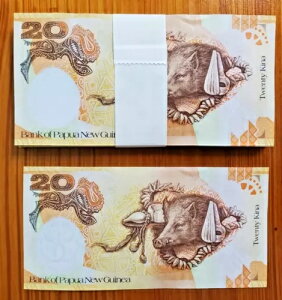 pvAj[MjA 2008 20Li 100 ʎ