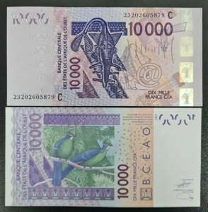 2003 / 2022 ���A�t���J���� �u���L�i�t�@�\ 10000�t���� ���� UNC