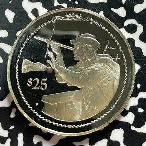 1992N CMX̃@[W 25h bgԍT4635 ^݁Iv[tI