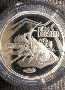 2023�N 1�h�� �I�[�X�g�����A �r�b�O�V���O�X �t�@�C���V���o�[�v���[�t�R�C�� �r�b�O���u�X�^�[�Z�b�g���