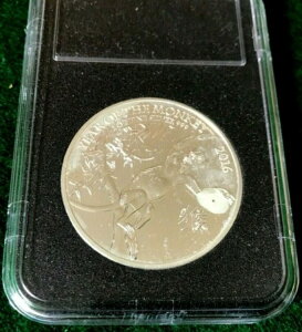 2016�N �C�M���X ��� 2�|���h �\�N .999 1�I���X �V���o�[ -T