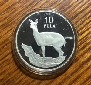 {ci 1978 NbvXvK[ 10 v Vo[ v[t RC (ǃv[t)