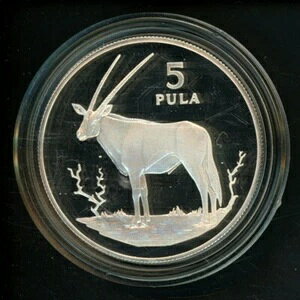 {ci 5v 1978N یQY{bNv[t KM 11