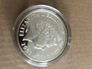 2003�N �p���C�R�̗��j �S�[���f���E�n�C���h �V���o�[�E�v���[�t �K�[���W�[ 5�|���h�d��