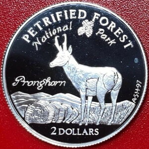 1998�N �N�b�N���� 2�h�� �V���o�[ �v���[�t �v�����O�z�[�� �A���e���[�v ���΂̐X���� �󏭁I