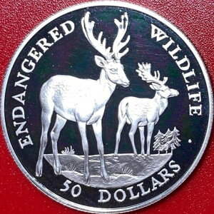 1991N NbN 50h Vo[ v[t _}WJ ̖ Ŋ뜜쐶