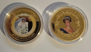 �_�C�A�i�܃��K�V�[�E�v���[�t�R�C��