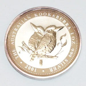 2001N 1h I[XgA NbJo 1IX .999 Vo[ v[t