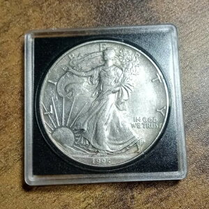 1995Ni~g}[NȂjAJVo[C[O - 1IX