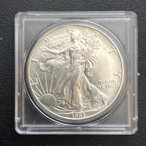 1993NAJC[O݁i~NX|bgtj