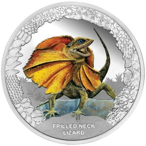 �V���o�[�R�C���J���[�g�J�Q�i1�C�ځj2013�N঒��� - �c�o�� - �P�[�X���� - 1�I���XPP-