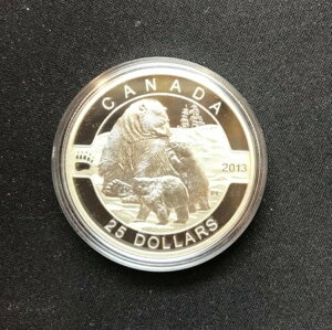 2013NJi_ 25h  - VN} v[t - OJi_V[Y