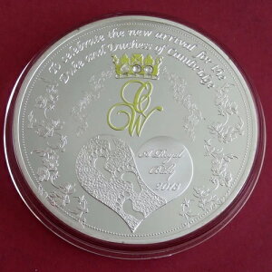 2013N W[Wqa 70mm ⃁bL X|bgv[t K[i 1ZfB