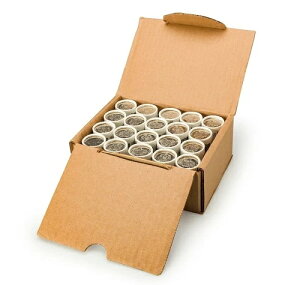 2021NJi_50Zgd݃XyVbvz[B