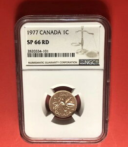 1977NJi_1Zgd݁ANGC SP66 RDӒς݁cc