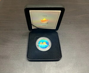 2004�N 20�h�� �X�R - ����R�C��