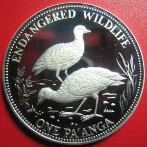 1991N gK 1 pAK 0.94IX Vo[ v[t K|bh  Ŋ뜜 쐶 38.7mm