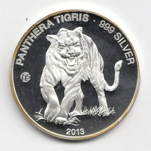 2013N IX 1000Lbv F15 vCr[ t@CVo[ ^CK[ t@rX 15v[tRC