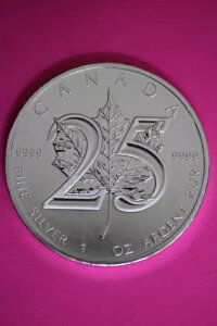 Gem BU 2013 Ji_h 5h 1IX Vo[ [v[t RCiʐ^j CAF15