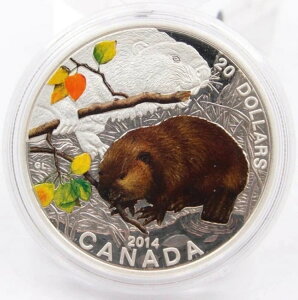 2014NJi_ 20h v[t  Ԃ񓮕 r[o[