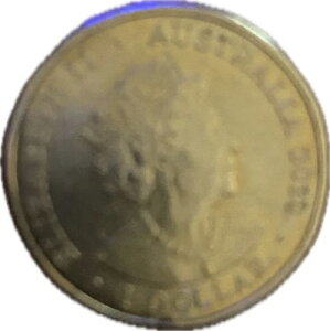 2020�N�I�[�X�g�����A�O���[��1�h���d�݊�t�BJC�̃C�j�V��������B��+�G���[����