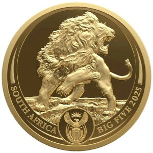 1/4IX 50h AtJ rbOt@CuIIICI 2025N v[t t