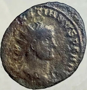 Ñネ[}̃RC 284-305N fBINeBAkX  fBe[ [X