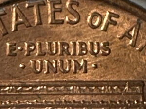 ���ɍ��i�ʂ�2000�NP���C�h�A���Z���g�B���i�ʂł��ꂢ�ȐԐF�̊󏭕i�B