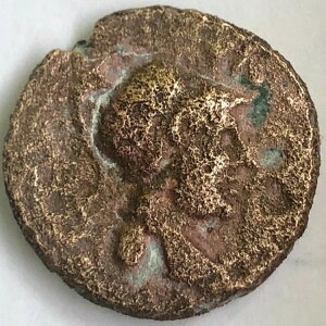 �M���V���ݕ� �}�P�h���E�e�b�T���j�L �I���O196-146�N �A�e�i�n EF 17mm 4.5gr ��