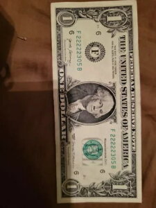 󏭂1hAɃN[ȃt@V[VAԍ5 2sA2017 1h F 22222305 B