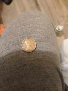 1970�N��̏����ȓ��t�̃����J�[���L�O�Z���g�A�󏭃R�C���B�e��ʐ^���������������B