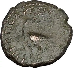 SEPTIMIUS SEVERUS Nicopolis ad Istrum ���A�Ñネ�[�}�R�C�� EAGLE i48487