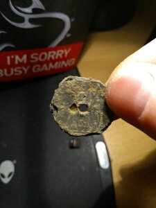 1690N EBA3 uL t@[VO p GB RCBTm@ɂ锭B󏭕iB