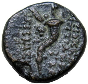 tFjLAAAPEvg}CXB AE 13BIO 133 ` 132 NBfBIXN/RkRsABAB