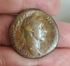 AgjkXEsEX [} A ^J̏Ί̃|[g[g ZXeeBEXEs[eeMV 906wd