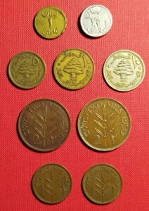 ̍d݁BomƃpX`iB󏭂ȔN