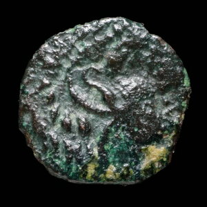 �Ñ� - �K�f�X�i�J�f�B�X�j�AAe 1/8�A���A�A�E���������J���g - 11 mm / 0.46 gr�B