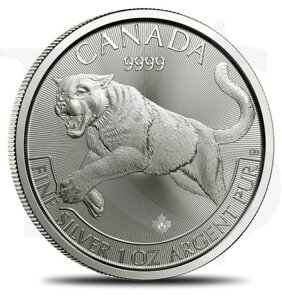 1IX 999  2016N Ji_ vf^[V[Y N[K[ nRC