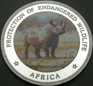 1996NEK_^݃J[v[t2000VO - Cm