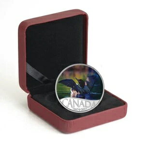 2017�N �J�i�_��150�Ԗڂ̃A�r���j�� 1/2�I���X�����